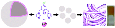 Graphical abstract: Self-assembly from metal–organic vesicles to globular networks: metallogel-mediated phenylation of indole with phenyl boronic acid