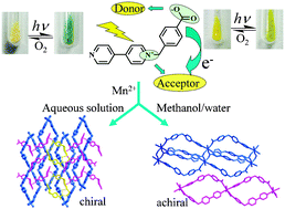 Graphical abstract: Conformational and photosensitive adjustment of the 4,4′-bipyridinium in Mn(ii) coordination complexes