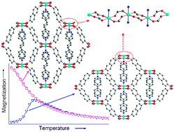 Graphical abstract: Long-range ordering or not: magnetic properties modulated by second ligands in flexible three-dimensional metal–organic frameworks