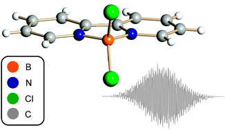 Graphical abstract: Synthesis and characterisation of the persistent radical [BCl2(bipy)]˙