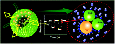 Graphical abstract: Ultra-fast responding and recovering C2H5OH sensors using SnO2 hollow spheres prepared and activated by Ni templates