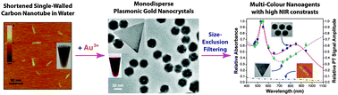 Graphical abstract: Aqueous-phase synthesis of monodisperse plasmonic gold nanocrystals using shortened single-walled carbon nanotubes