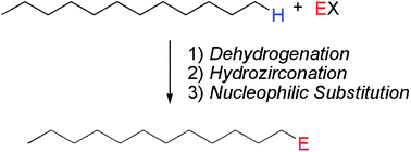 Graphical abstract: Regioselective functionalization of alkanes by sequential dehydrogenation–hydrozirconation