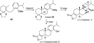 Graphical abstract: Diastereoselective formal total synthesis of (±)-triptolide via a novel cationic cyclization of 2-alkenyl-1,3-dithiolane