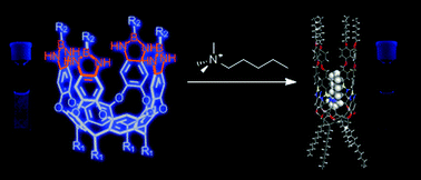 Graphical abstract: Resorcin[4]arene cavitand with 1,3,2-benzodiazaborolyl walls as a fluorescence receptor for ammonium cations