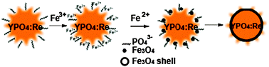 Graphical abstract: Novel Fe3O4@YPO4 : Re (Re = Tb, Eu) multifunctional magnetic–fluorescent hybrid spheres for biomedical applications