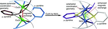 Graphical abstract: The coordination preferences of metal centres modulate superexchange coupling interactions in a metallo-supramolecular helical assembly