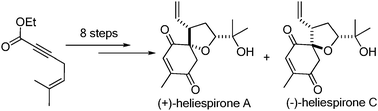 Graphical abstract: Asymmetric total synthesis of ent-heliespirones A & C