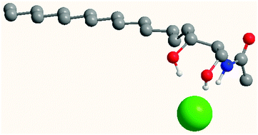 Graphical abstract: Ceramide-mediated transport of chloride and bicarbonate across phospholipid membranes