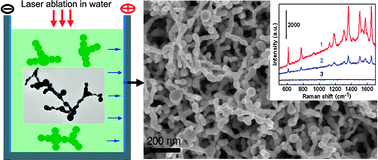 Graphical abstract: Au nanochain-built 3D netlike porous films based on laser ablation in water and electrophoretic deposition