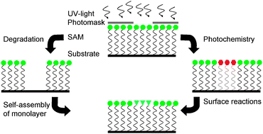 Graphical abstract: Fabrication of patterned silane based self-assembled monolayers by photolithography and surface reactions on silicon-oxide substrates