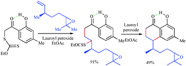 Graphical abstract: A radical-based approach to hydroxytetralones from unprotected phenols