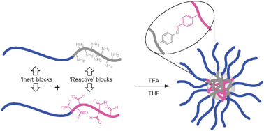 Graphical abstract: The formation of core cross-linked star polymers containing cores cross-linked by dynamic covalent imine bonds