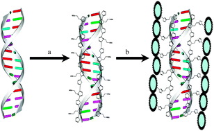 Graphical abstract: Modification of DNA-templated conductive polymer nanowires via click chemistry