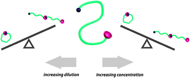 Graphical abstract: Single chain self-assembly: preparation of α,ω-donor–acceptor chains via living radical polymerization and orthogonal conjugation