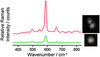 Graphical abstract: Turning up the lights—fabrication of brighter SERRS nanotags