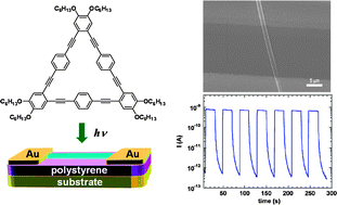 Graphical abstract: A photoswitch based on self-assembled single microwire of a phenyleneethynylene macrocycle