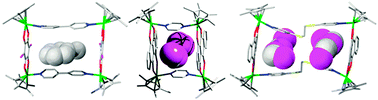 Graphical abstract: Host–guest chemistry with bi- and tetra-nuclear macrocyclic metallasupramolecules