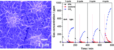 Graphical abstract: WO3 modified titanate network film: highly efficient photo-mineralization of 2-propanol under visible light irradiation