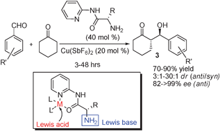 Graphical abstract: Primary amine-metal Lewis acid bifunctional catalysts based on a simple bidentate ligand: direct asymmetric aldol reaction