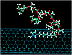Graphical abstract: Imidazolium end-functionalized poly(l-lactide) for efficient carbon nanotube dispersion