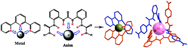 Graphical abstract: A fully complementary, high-affinity receptor for phosphate and sulfate based on an acyclic tris(urea) scaffold