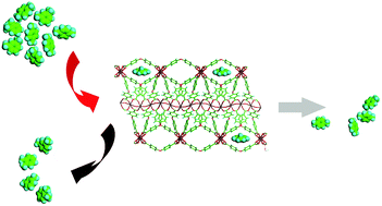 Graphical abstract: A novel microporous MOF with the capability of selective adsorption of xylenes