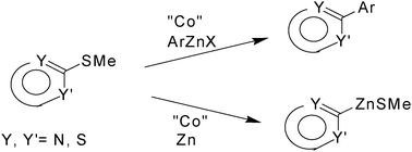 Graphical abstract: Cobalt-catalyzed C–SMe bond activation of heteroaromatic thioethers