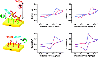 Graphical abstract: Chiral gold nanoparticle-based electrochemical sensor for enantioselective recognition of 3,4-dihydroxyphenylalanine