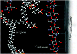 Graphical abstract: Novel high-performance nanohybrid polyelectrolyte membranes based on bio-functionalized montmorillonite for fuel cell applications