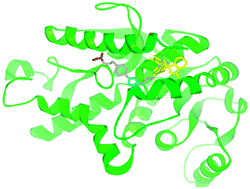 Graphical abstract: Targeting glycolysis: a fragment based approach towards bifunctional inhibitors of hLDH-5