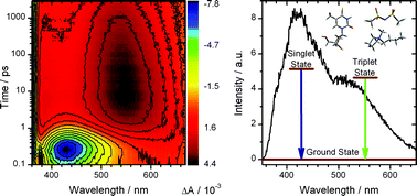 Graphical abstract: Ultrafast spin crossover in 4-thiothymidine in an ionic liquid