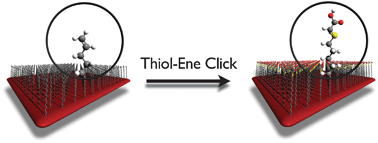 Graphical abstract: Functional monolayers on oxide-free silicon surfaces via thiol–ene click chemistry