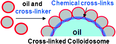 Graphical abstract: From well-defined macromonomers to sterically-stabilised latexes to covalently cross-linkable colloidosomes: exerting control over multiple length scales