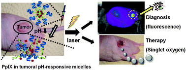 Graphical abstract: In vivo tumor diagnosis and photodynamic therapy via tumoral pH-responsive polymeric micelles