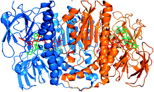 Graphical abstract: Reactions of medicinally relevant gold compounds with the C-terminal motif of thioredoxin reductase elucidated by MS analysis