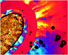 Graphical abstract: Photopolymerization of self-organizing ionic liquids