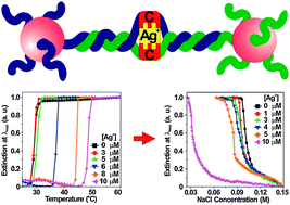 Graphical abstract: Salt concentration-induced dehybridisation of DNA–gold nanoparticle conjugate assemblies for diagnostic applications