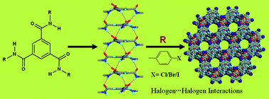 Graphical abstract: Assembling triple helical amide-to-amide hydrogen bonded columns of tris(4-halophenyl)benzene-1,3,5-tricarboxamides into porous materials via halogen⋯halogen interactions