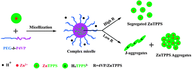 Graphical abstract: Stability enhancement of ZnTPPS in acidic aqueous solutions by polymeric micelles