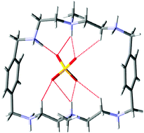 Graphical abstract: Encapsulation and selective recognition of sulfate anion in an azamacrocycle in water