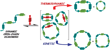 Graphical abstract: Structurally disfavoured pseudopeptidic macrocycles through anion templation