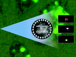 Graphical abstract: Multicolored redox active upconverter cerium oxide nanoparticle for bio-imaging and therapeutics