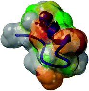 Graphical abstract: Two-dimensional heteronuclear saturation transfer difference NMR reveals detailed integrin αvβ6 protein–peptide interactions