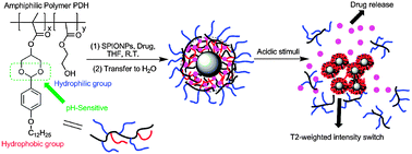 Graphical abstract: A novel degradable polymeric carrier for selective release and imaging of magnetic nanoparticles