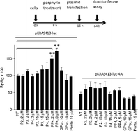 Graphical abstract: Enhanced G4-DNA binding of 5,10,15,20 (N-propyl-4-pyridyl) porphyrin (TPrPyP4): A comparative study with TMPyP4
