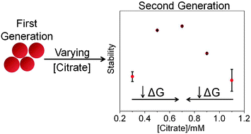 Graphical abstract: Implications of citrate concentration during the seeded growth synthesis of gold nanoparticles