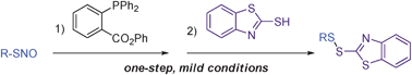 Graphical abstract: Disulfide formation via sulfenamides