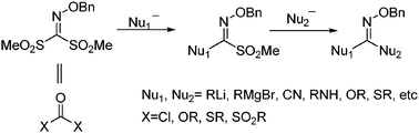 Graphical abstract: Facile nucleophilic substitution of sulfonyl oxime ethers: an easy access to oxime ethers, carbonyl compounds and amines