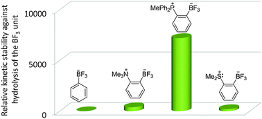 Graphical abstract: Stabilization of zwitterionic aryltrifluoroborates against hydrolysis